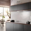 Miele Das 2920